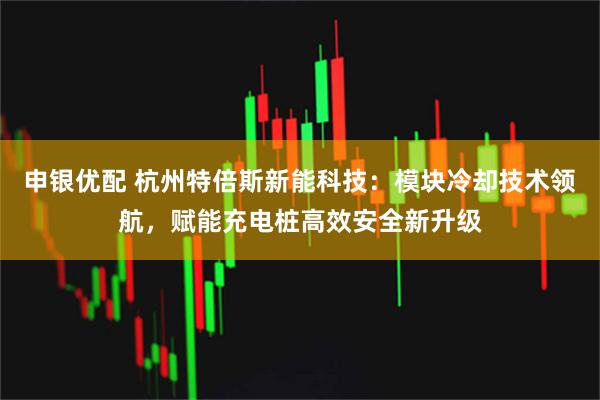 申银优配 杭州特倍斯新能科技：模块冷却技术领航，赋能充电桩高效安全新升级